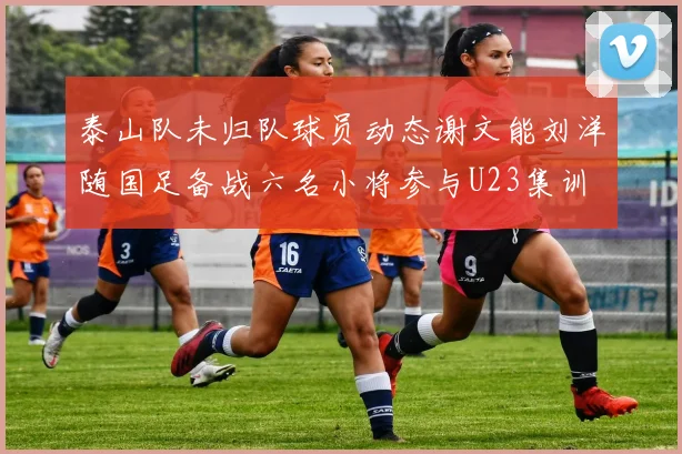 泰山队未归队球员动态谢文能刘洋随国足备战六名小将参与U23集训