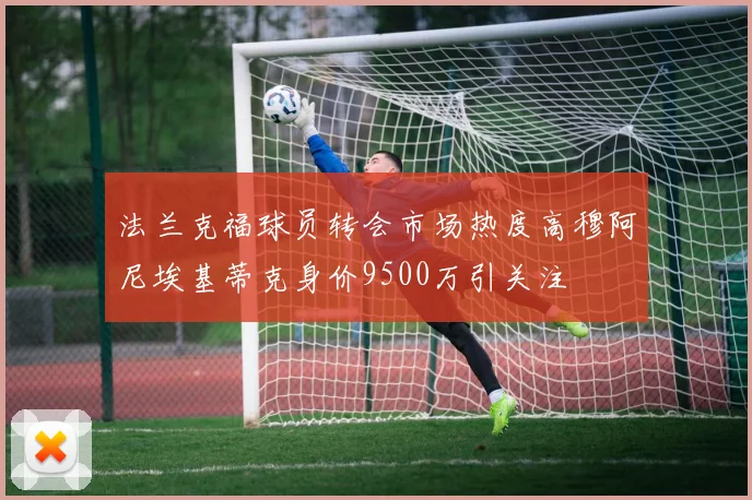 法兰克福球员转会市场热度高穆阿尼埃基蒂克身价9500万引关注